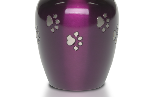 Classic Paw – Purple with Silver Paw Prints