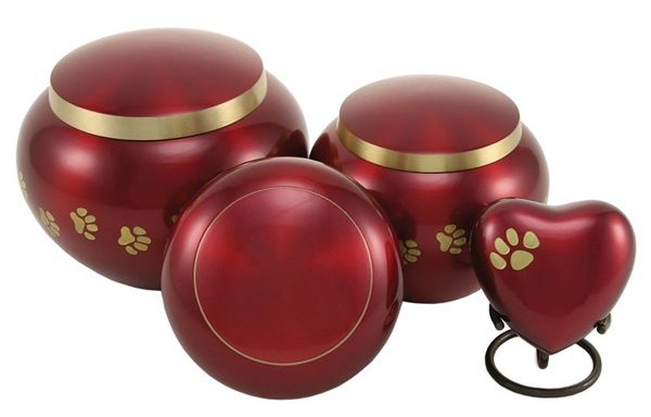 Odyssey Paw Collection – Crimson