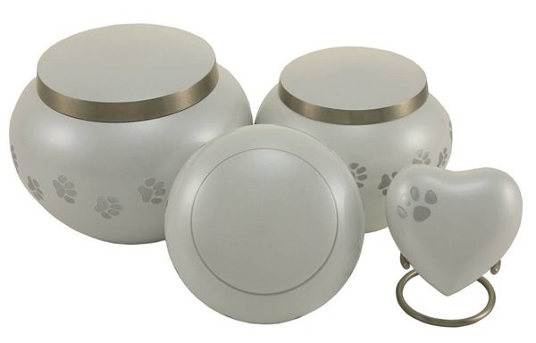 Odyssey Paw Collection – Pearl