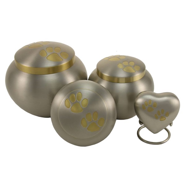 Odyssey Paw Collection - Pewter (UTB2888)
