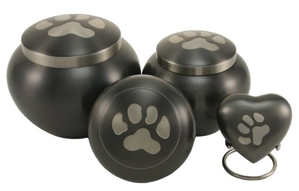 Odyssey Paw Collection – Slate