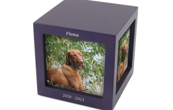 Violet Photo Cube with 3 Photos